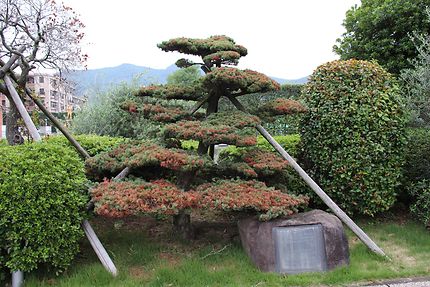 Musée de la paix à Nagasaki, le jardin