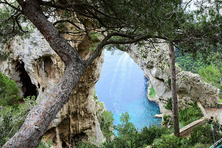 Isola di Capri - jojo4
