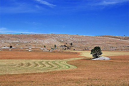 Sur le Causse