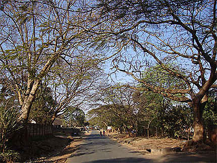 Rue typique de Lilongwe