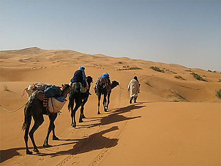 Marche dans le désert