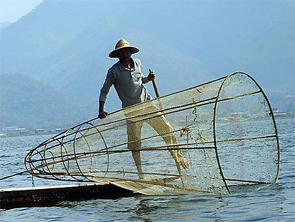 Pêcheur  Birman