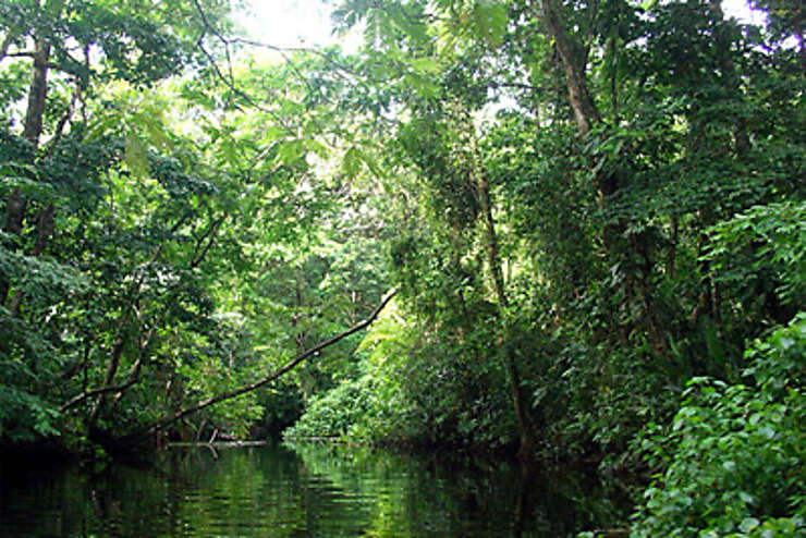 Tortuguero, l’Amazonie du Costa Rica
