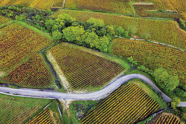 La Route des grands crus de Bourgogne : 60 km de bonheur