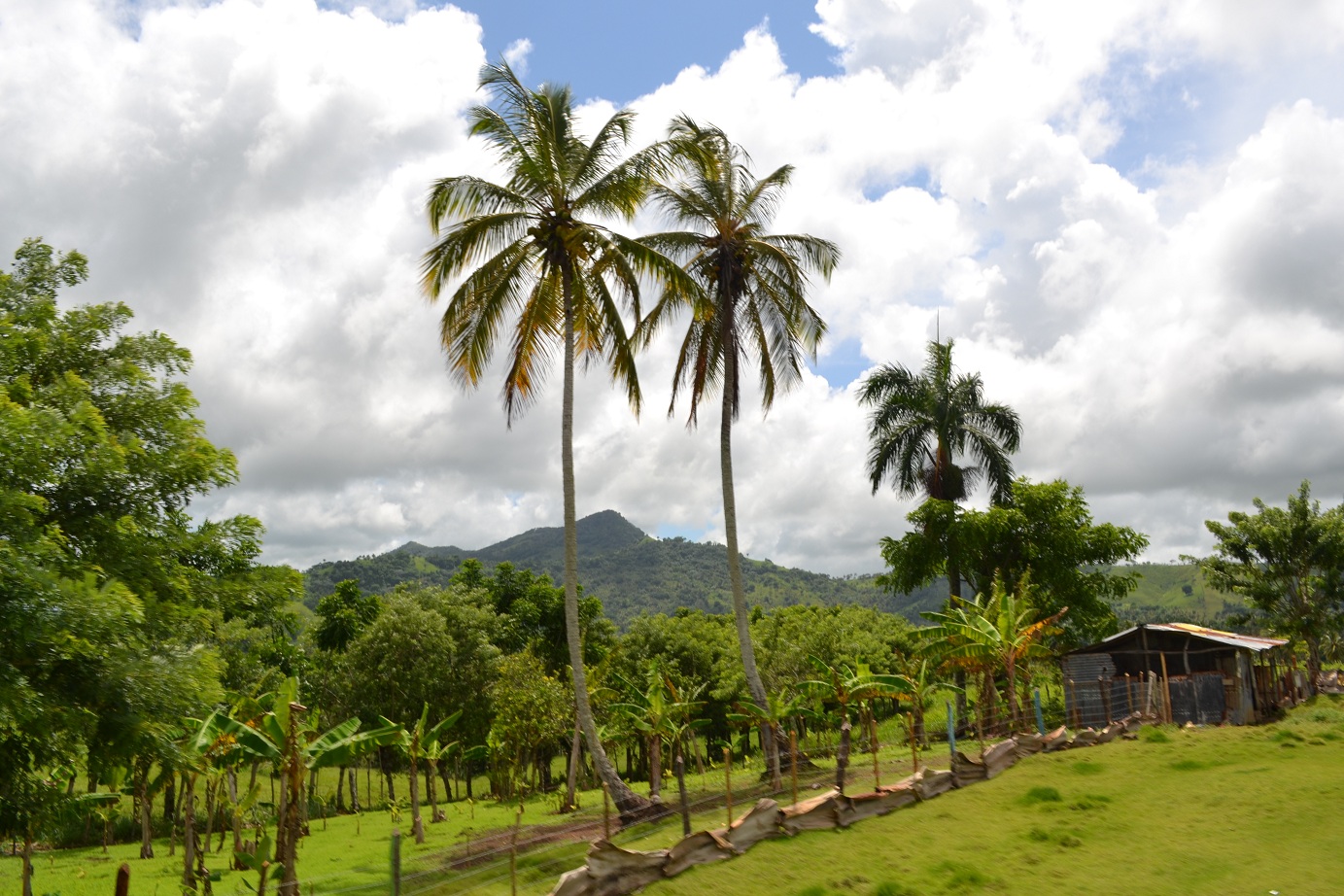 République Dominicaine paysage