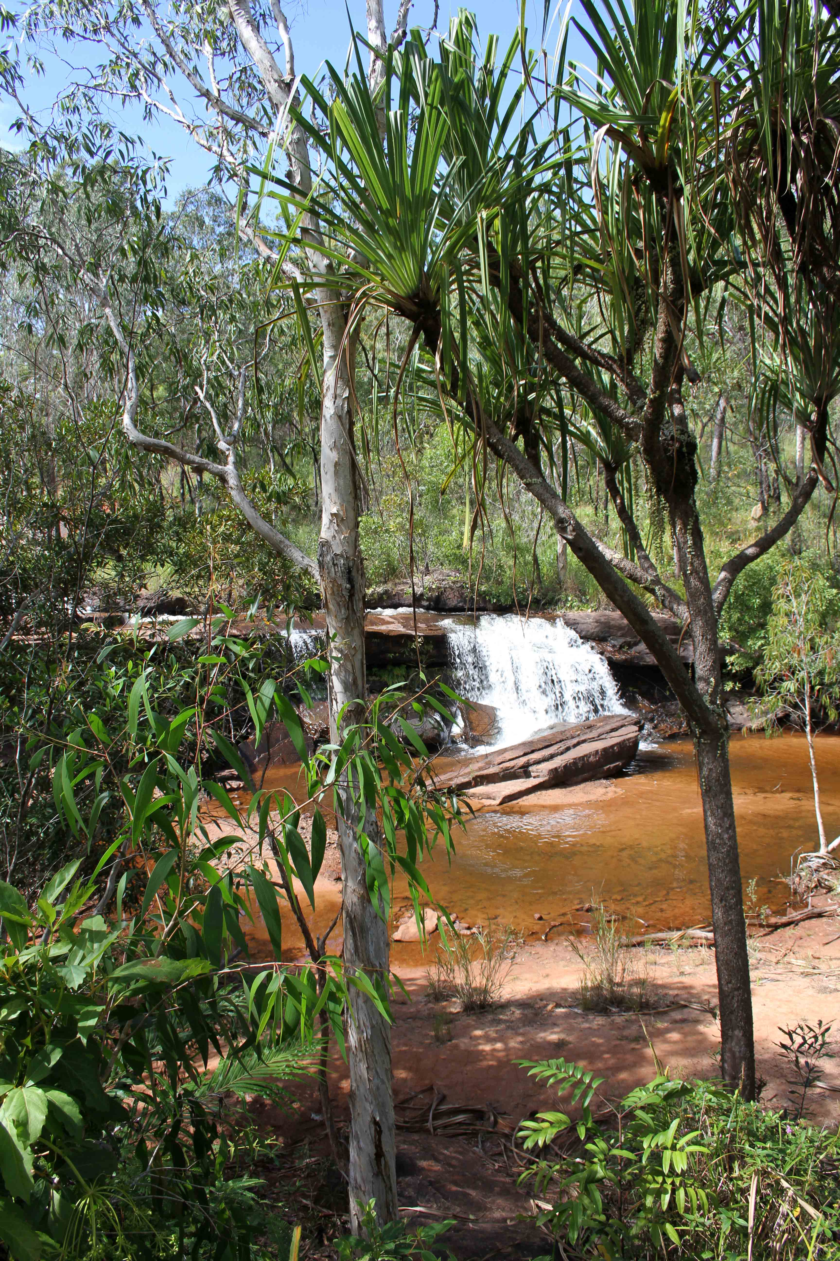 Isabella falls Isabella falls