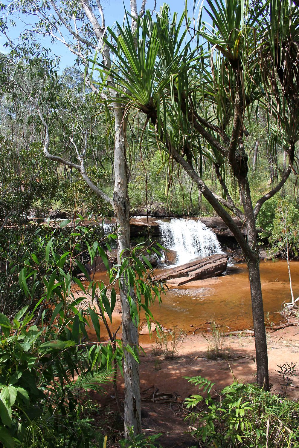 Isabella falls