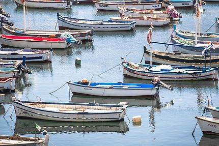 Alger - Les petits bateaux de pêche