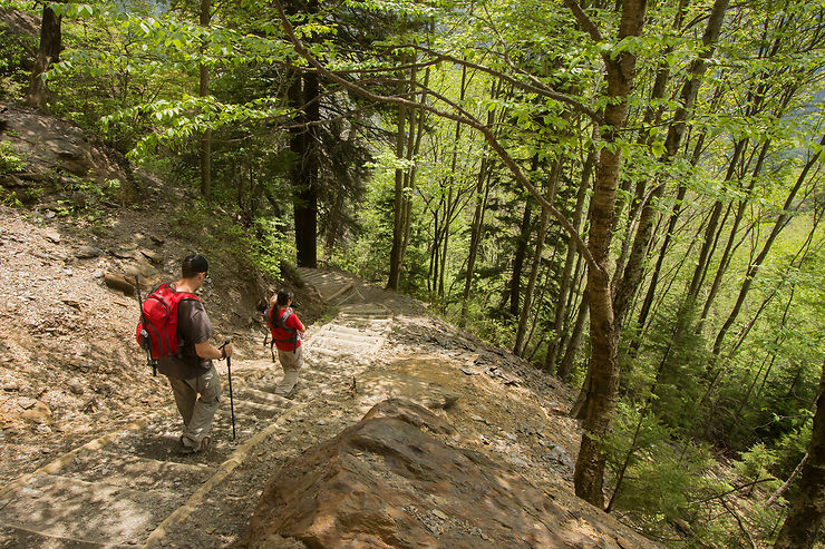 Appalachian Trail (États-Unis)