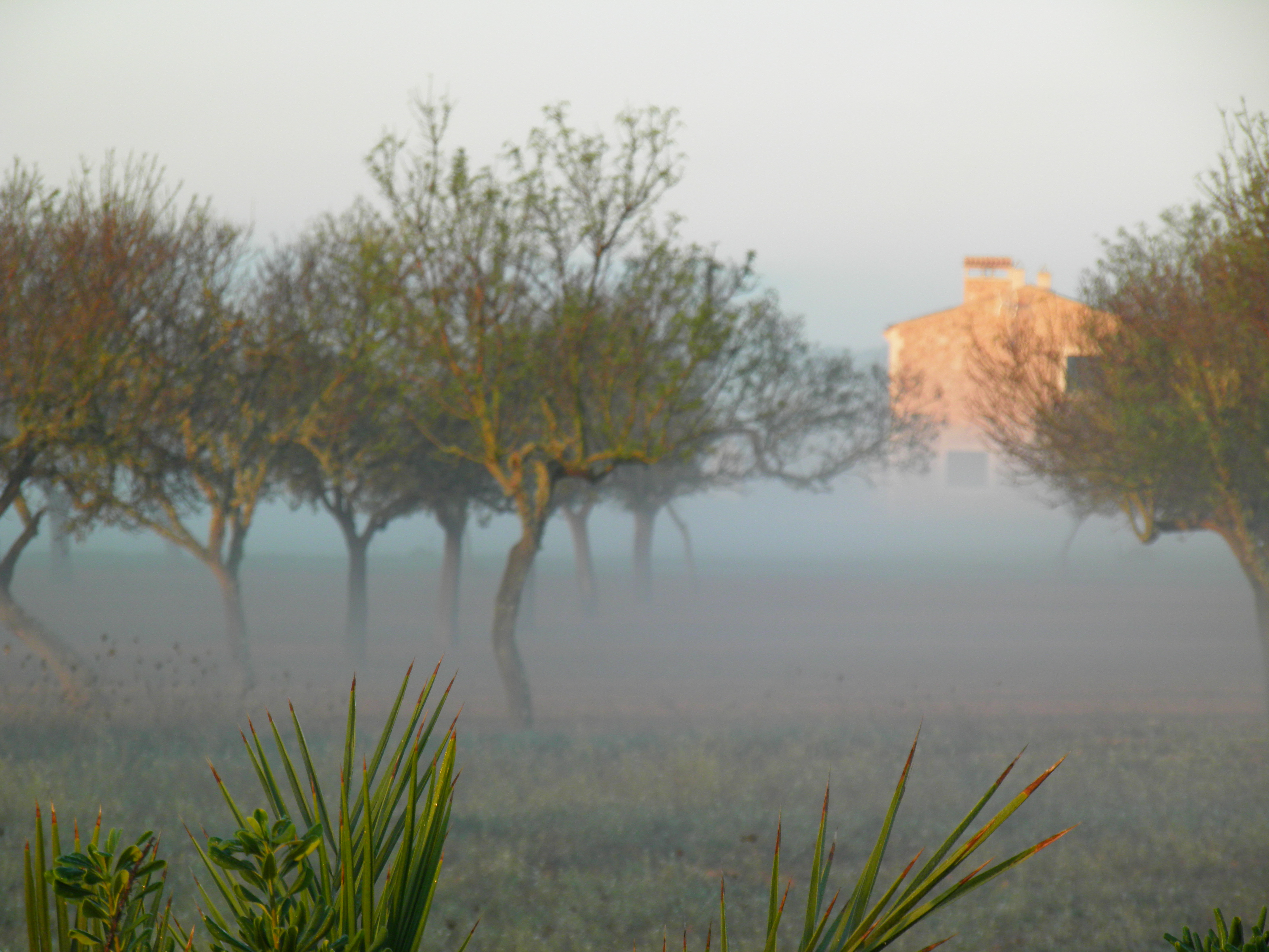 Jour et brouillard Jour et brouillard