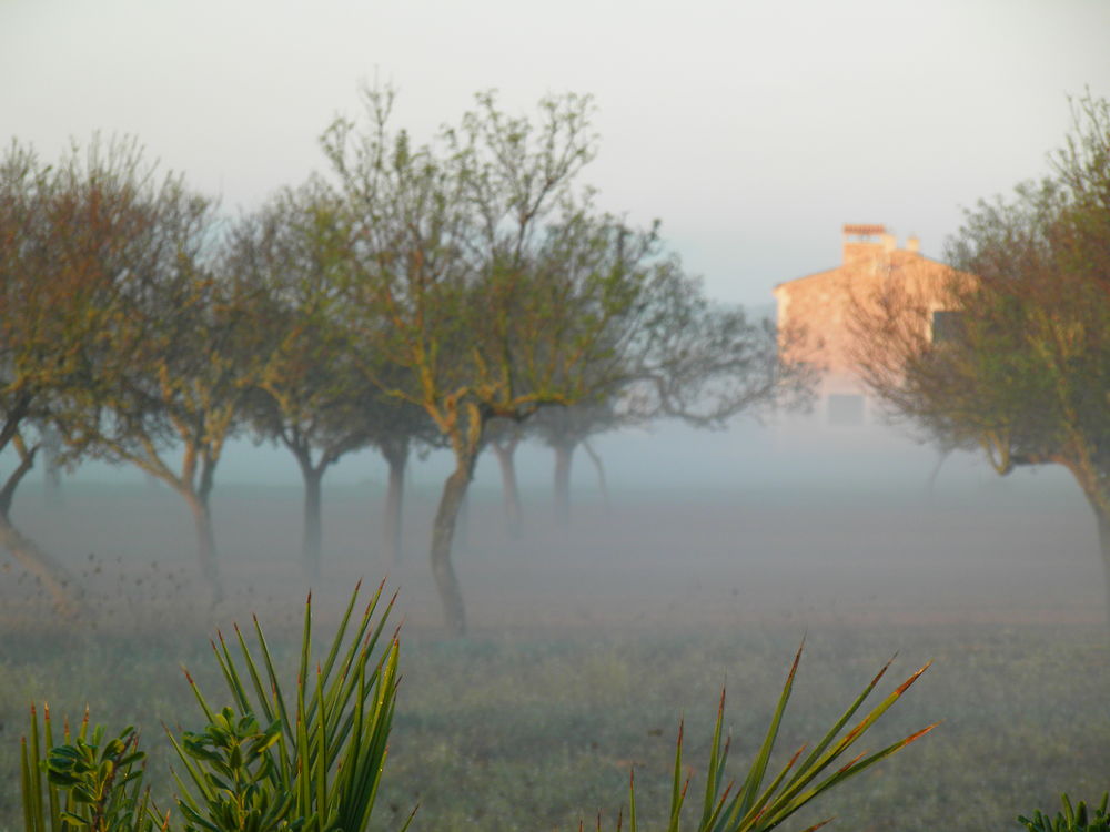 Jour et brouillard