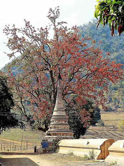 A la pagode Tharhaung