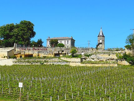 Vignes et château à Saint-Émilion