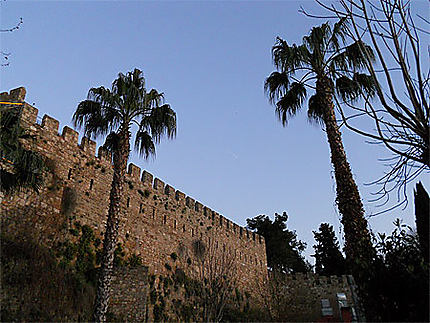 Fortifications de la vieille ville