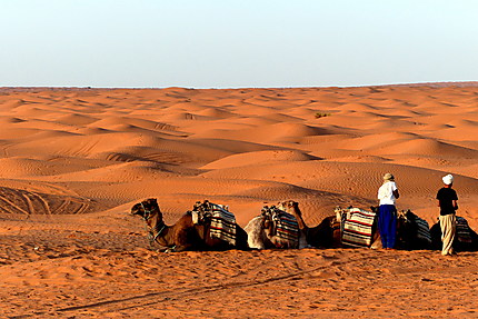 Aux portes du désert saharien