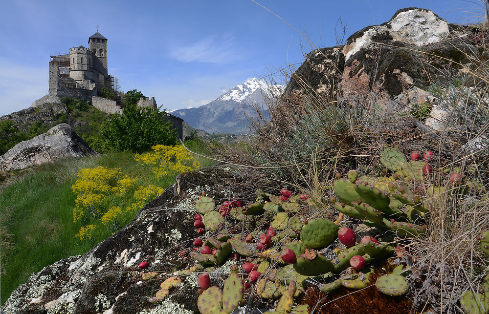 La colline de Valère au printemps