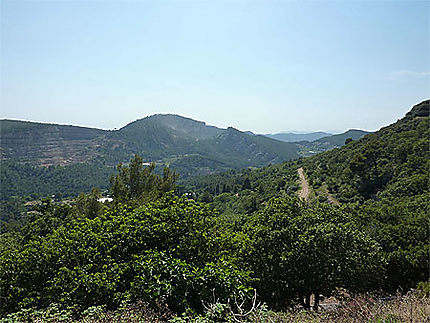 Vue depuis Evenos