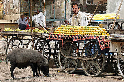 Le marché a rathambore