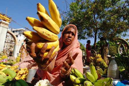 Marché en Inde du Sud, à Madras (Chennai) Marché en Inde du Sud, à Madras (Chennai)