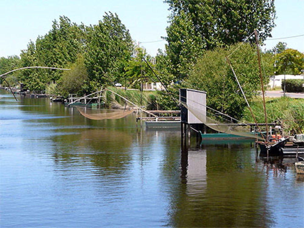 Pêche au carrelet