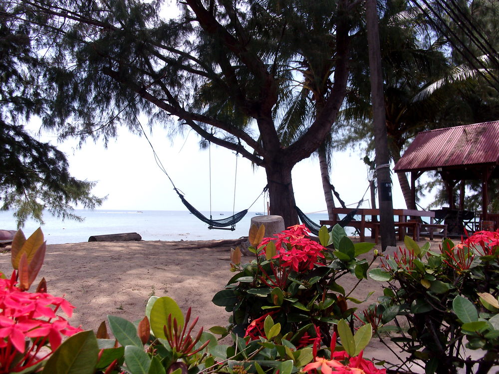 Paradis Terrestre - Tioman Island 