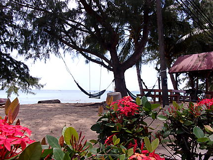 Paradis Terrestre - Tioman Island 