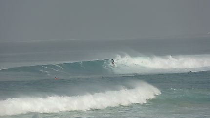 Journée surf : grosses vagues
