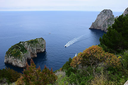 Le rivage de l'île de Capri