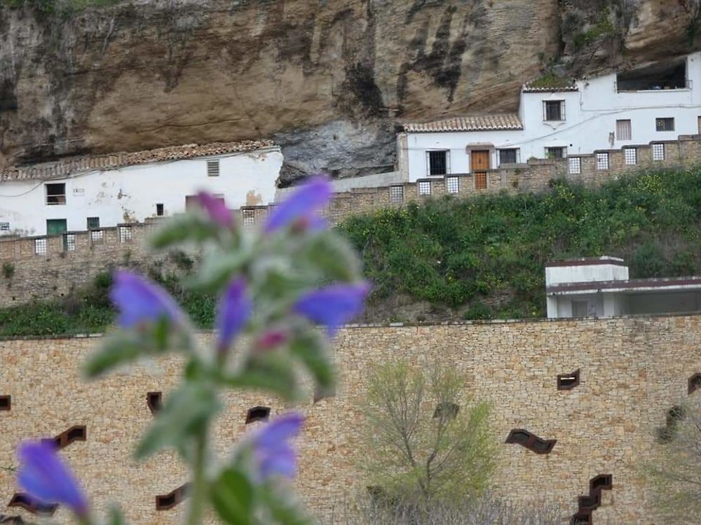 Setenil de las bodegas