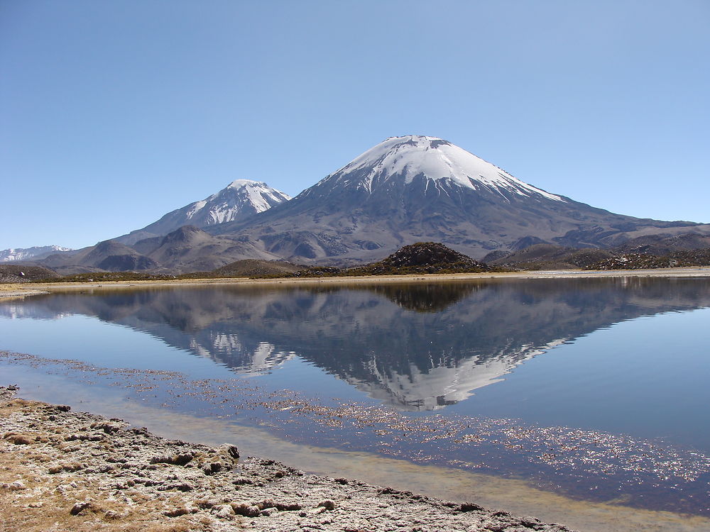 Volcan parinacota