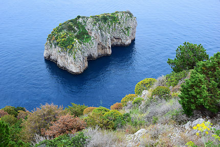 Les couleurs de Capri