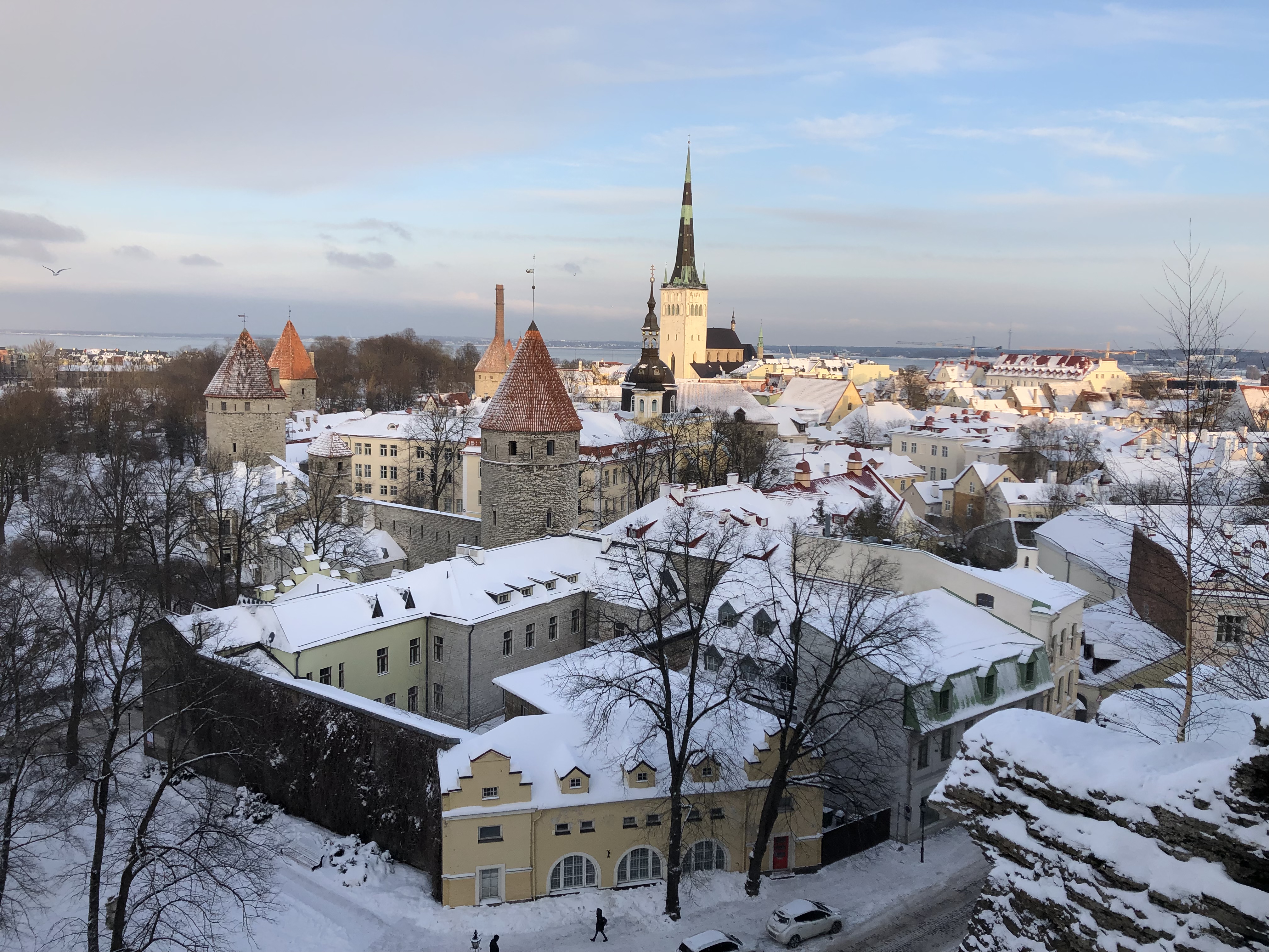 Vue sur la veille ville de Tallinn