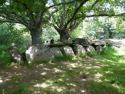 Allée couverte de Kermeur Bihan