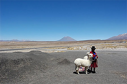 Typico à Peru, Une Péruvienne, Un Alpaca, Un Volcan ... : Un paysage Sublime