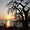 Lever de soleil sur le lac Malawi