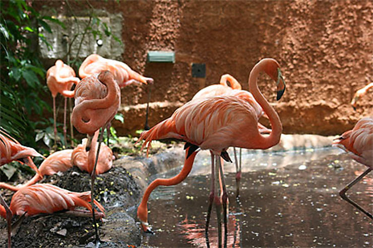 Parc zoologique de Mérida