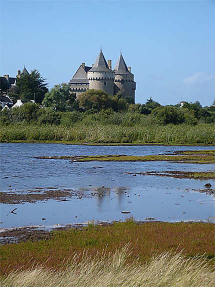 Château de Succino