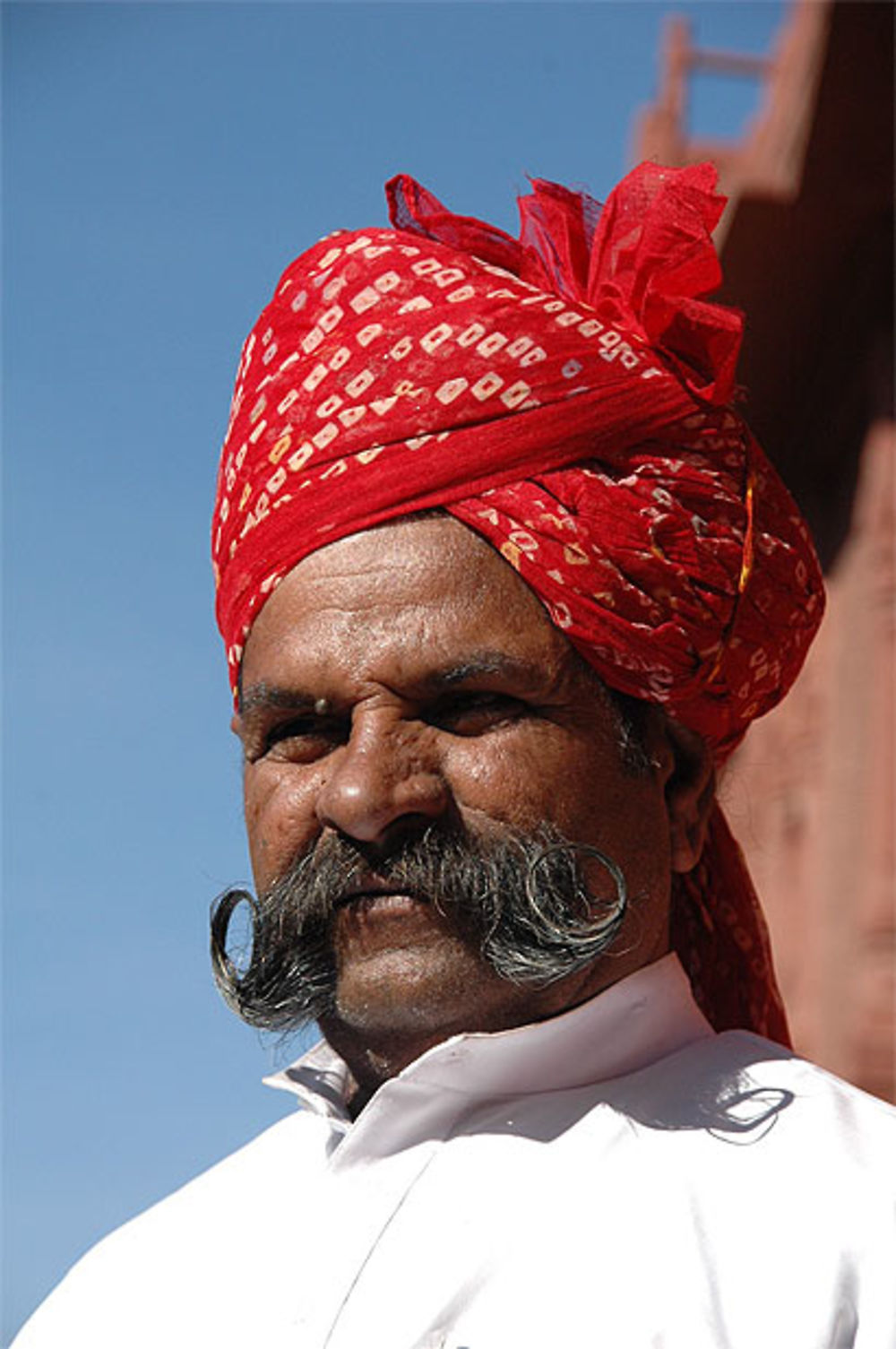 De belles moustaches