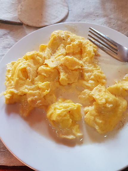 Omelette au lait de Buffalo 