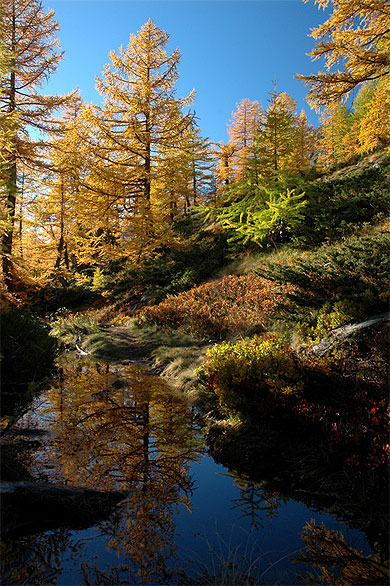 Le Lötschental en automne Le Lötschental en automne