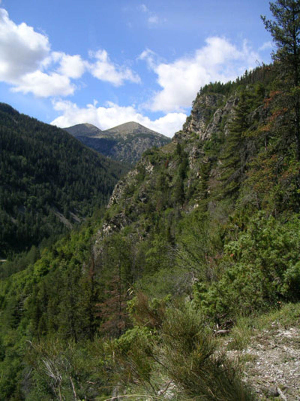 Vue du haut d'une montagne