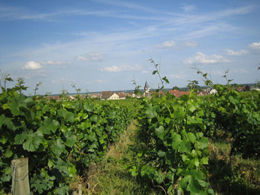 L'or de la Bourgogne