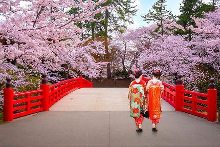 Hanami - cerisiers en fleurs au Japon  Fleur de cerisier, Fleur de cerisier  japonais, Fleurs