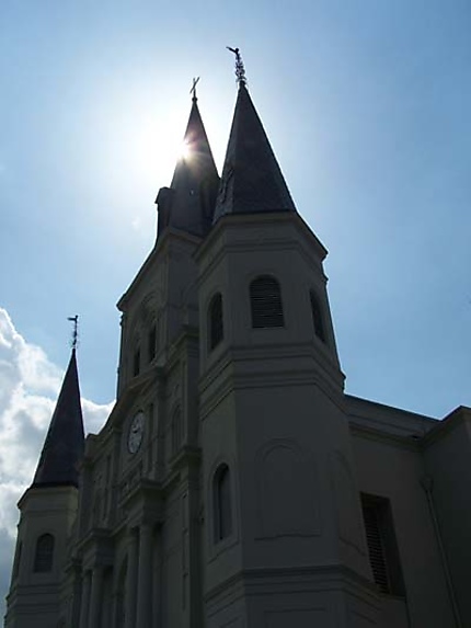 Cathédrale Saint Louis