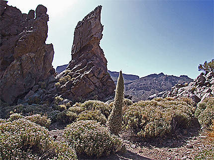 Parc national du Teide