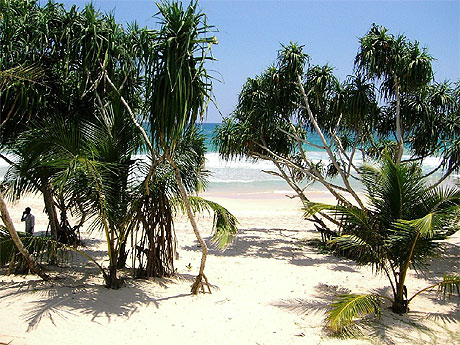 Plage De Koggala Beach Plages Mer Galle Côte Sud