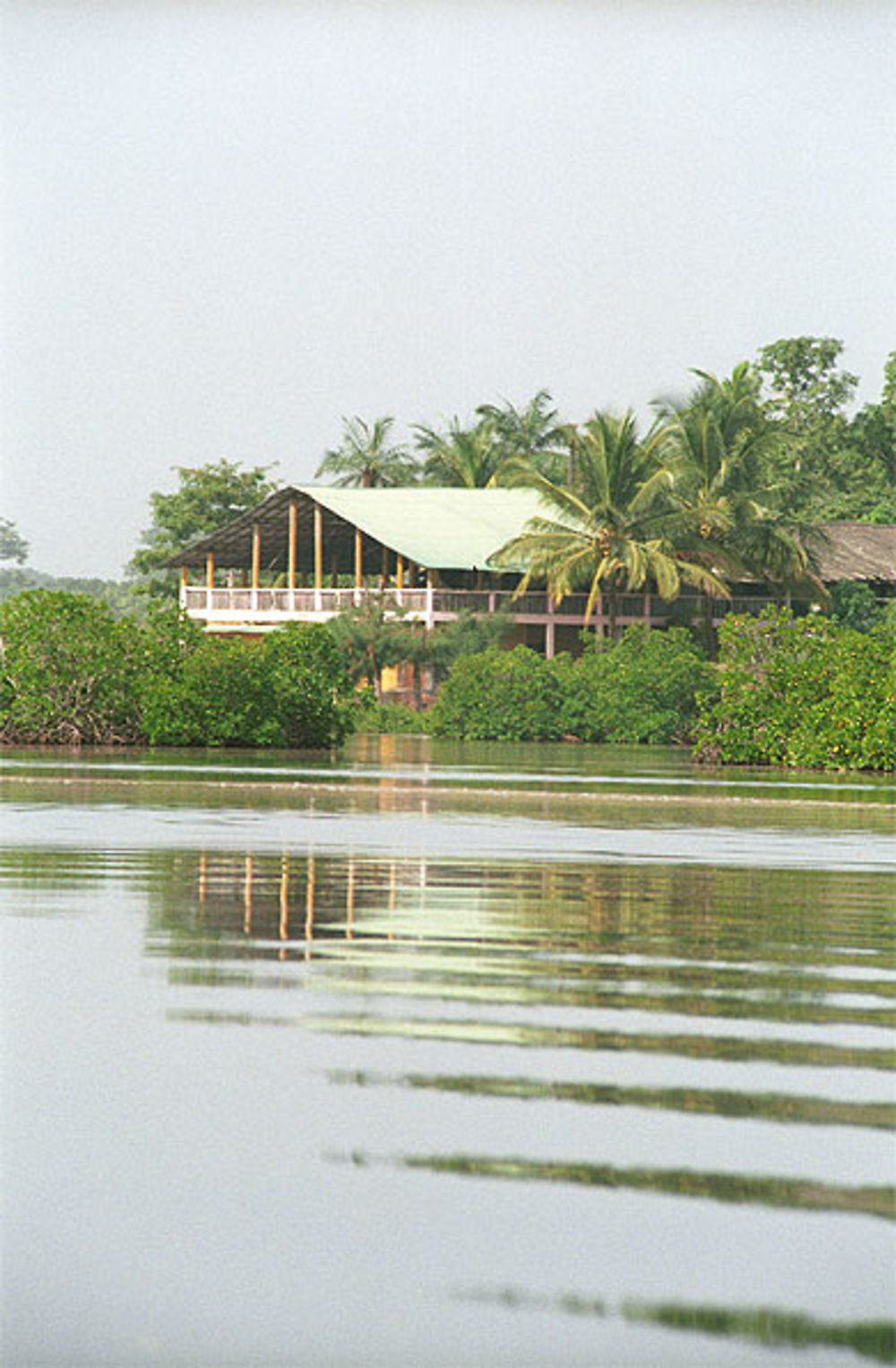 Edioungou vu du Bolong