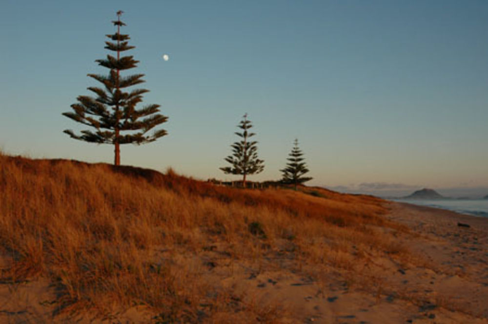 Papamoa Beach