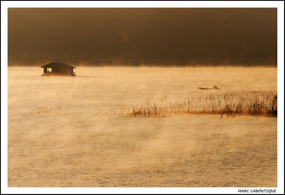 Brume dorée