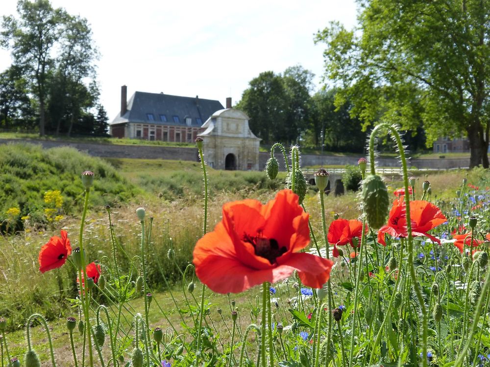 Citadelle d'Arras